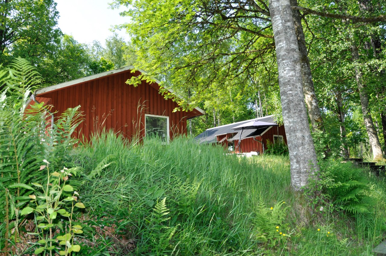 från Lagan