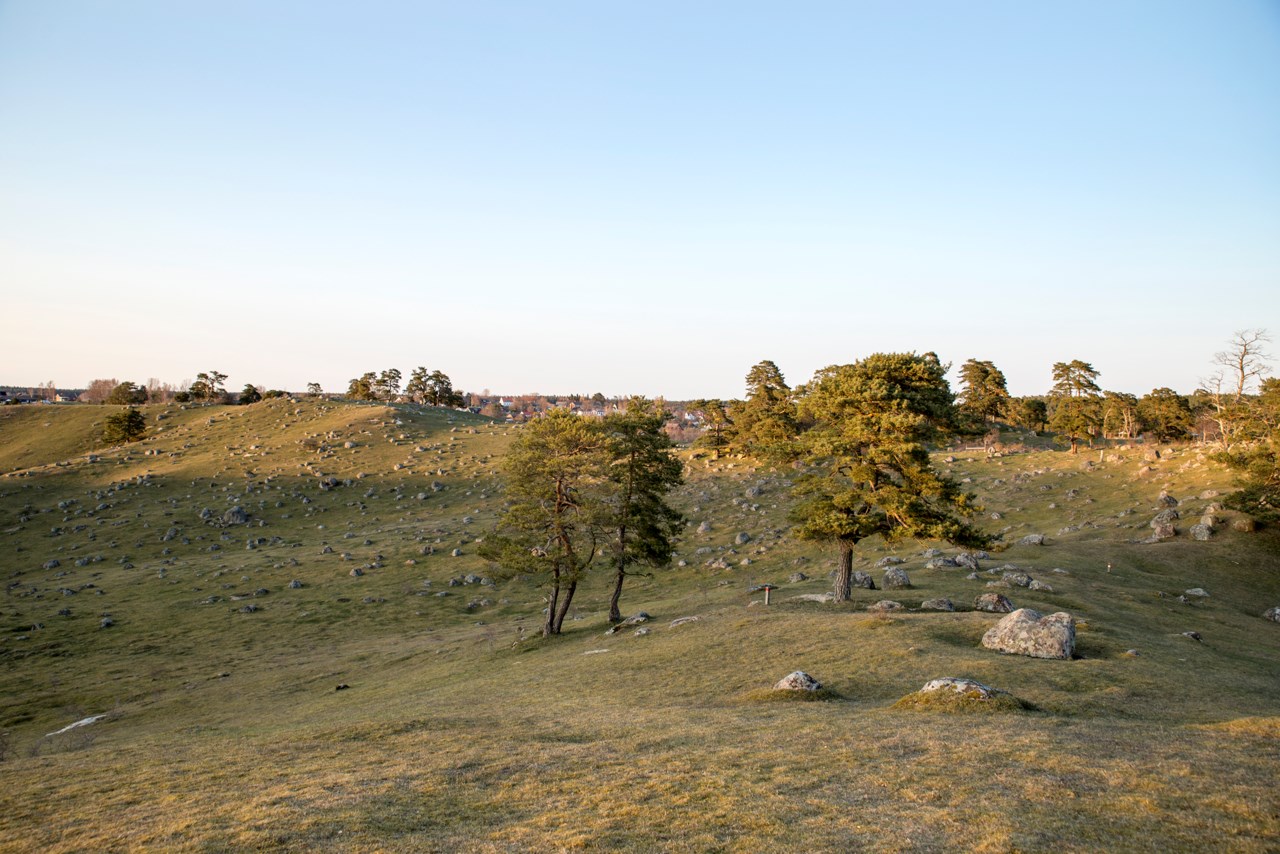 Söndreklacksvägen 8