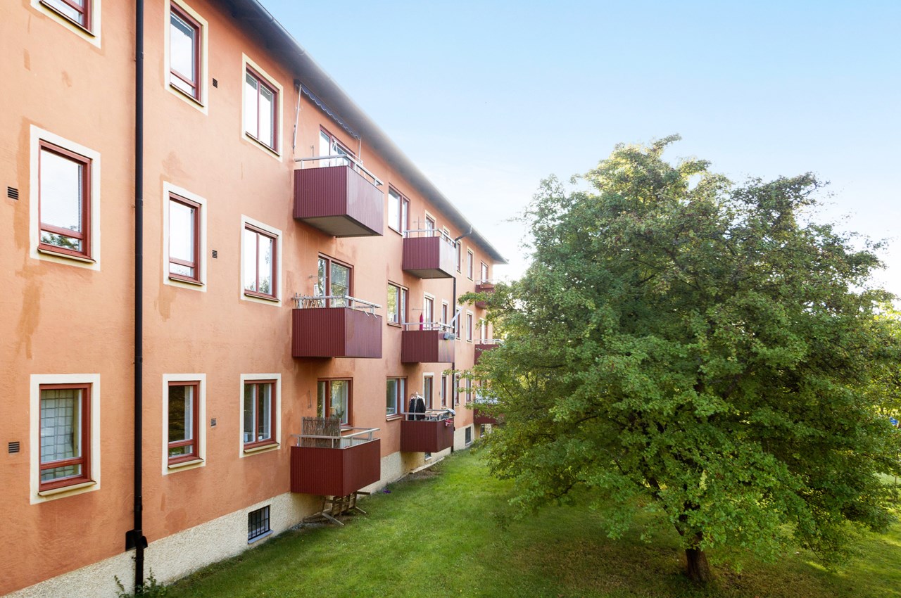 Härlig grönska intill balkongen