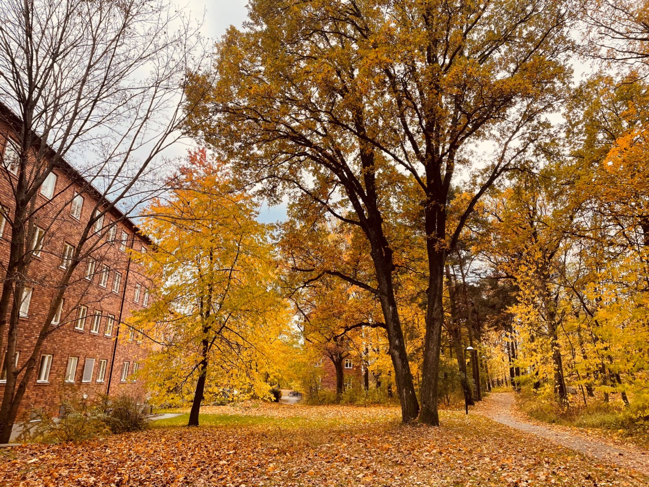 Mellanbergsvägen 11