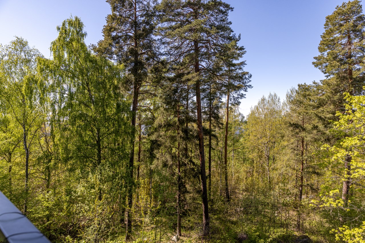 Filarvägen 9