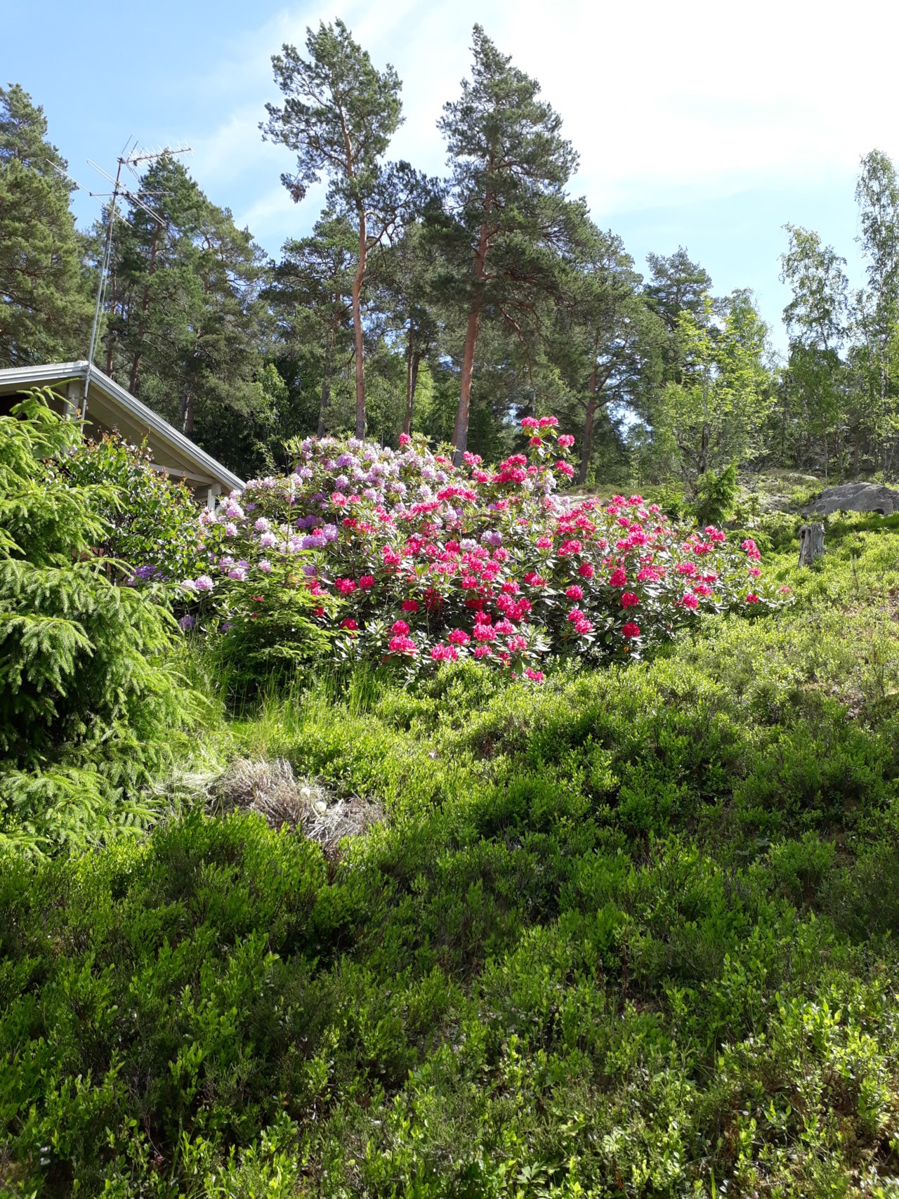 Bergsrundan 2
