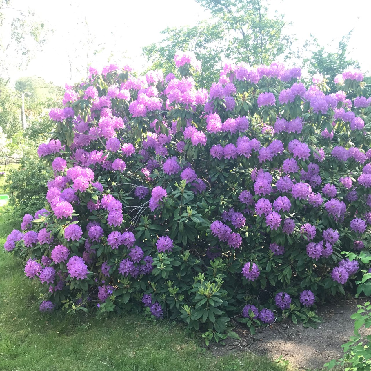 Terrängvägen 23