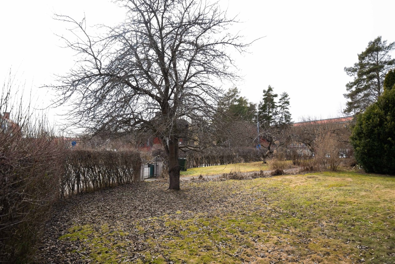 Urhagsgatan 13