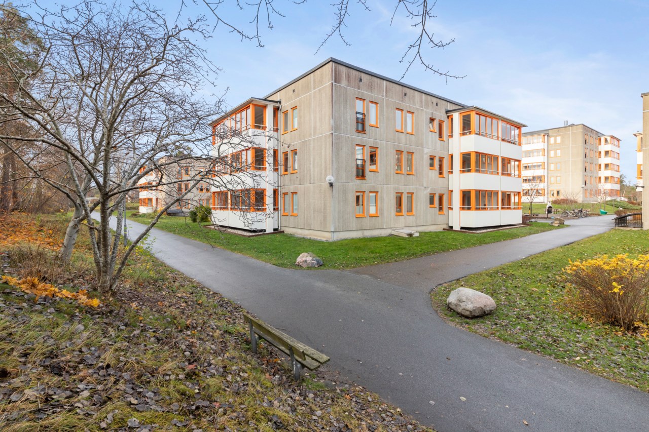Ormingeringen 80