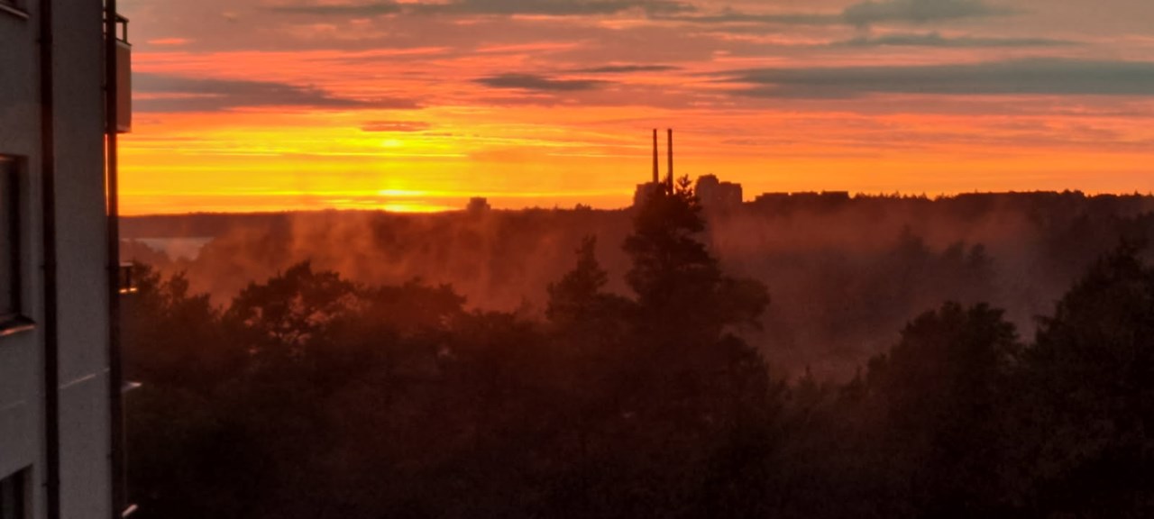 Säljarens bild