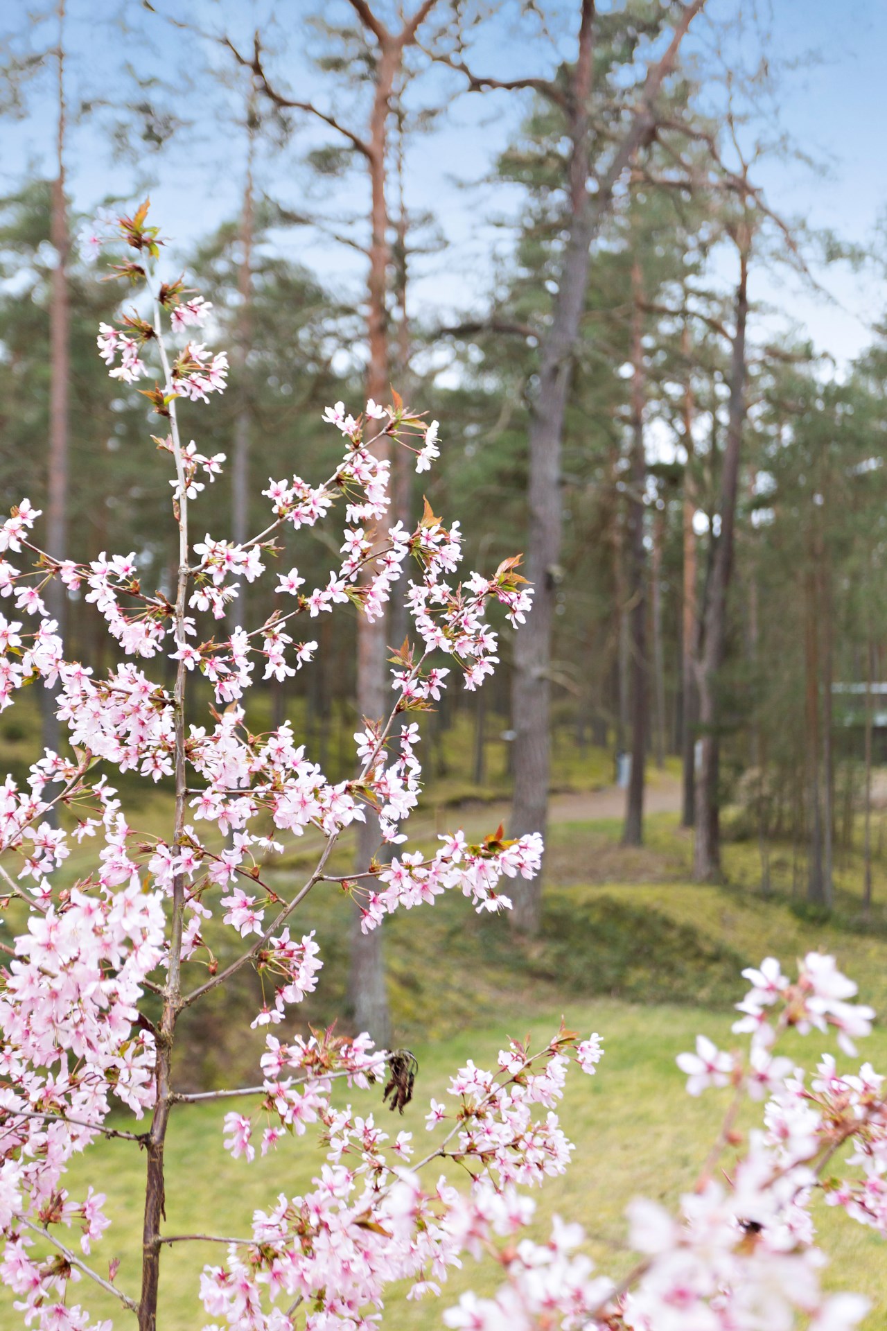 Glansabovägen 17C