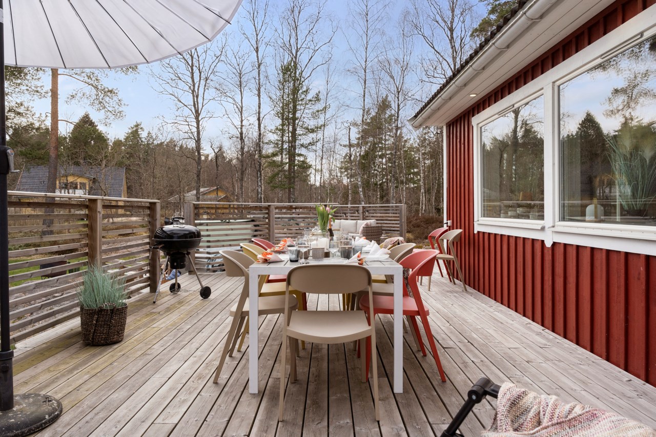 Dereviken 302
