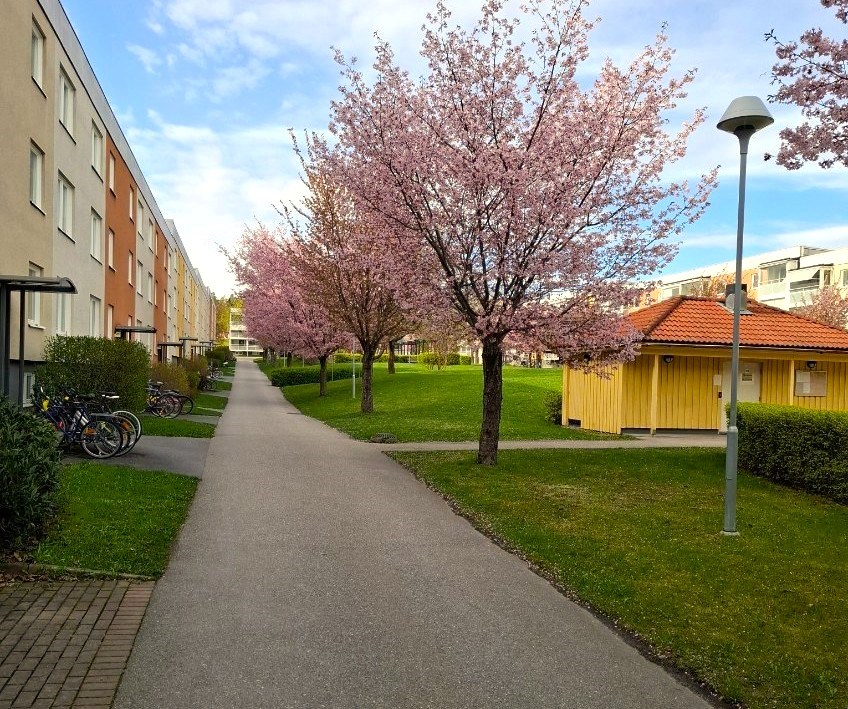 Marknadsvägen 251