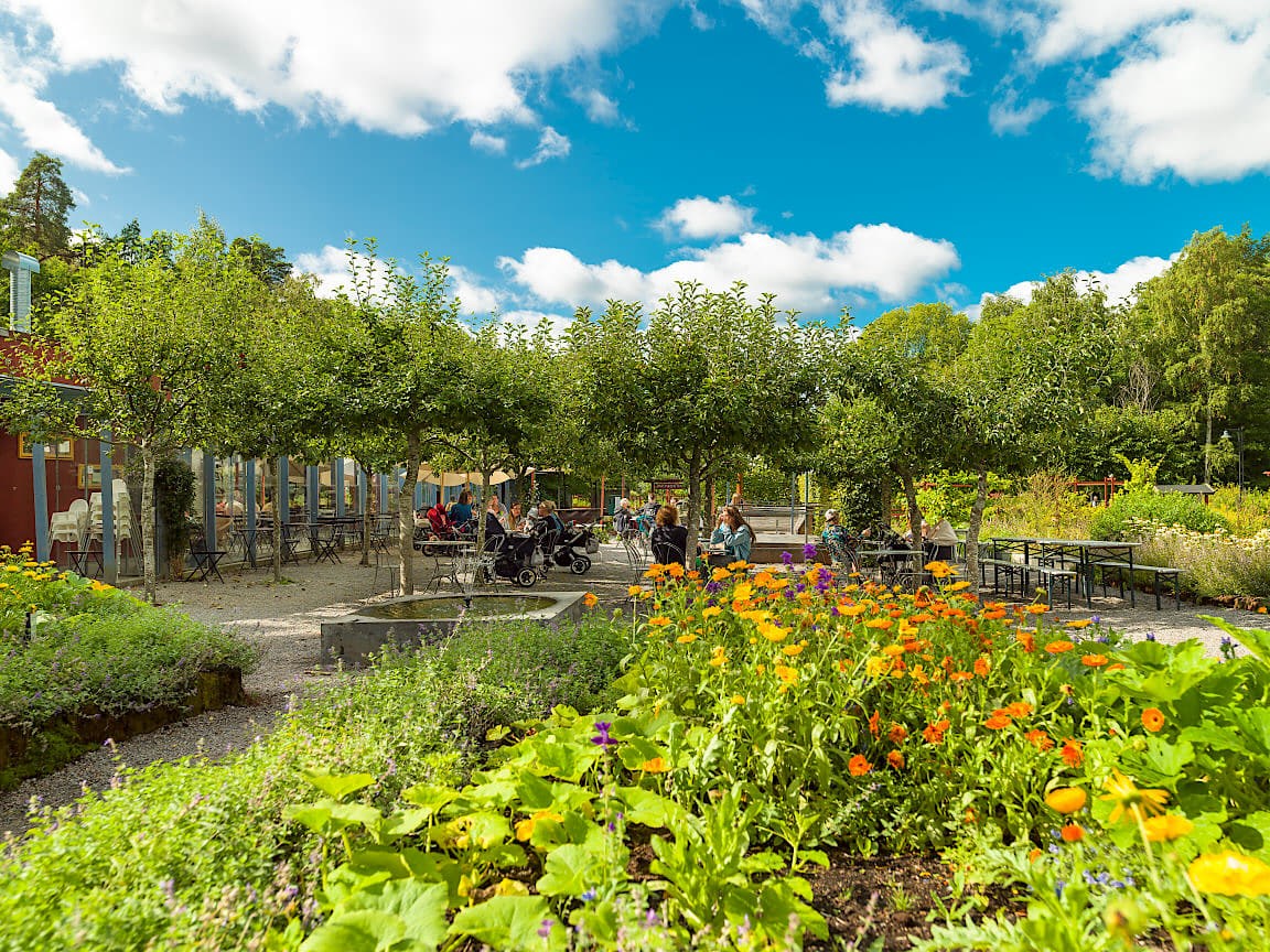 Mitt i vintervikens prunkande gronska ar idylliska vintervikens tradgardscafe belaget