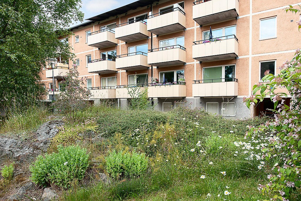Gården i sommarskrud