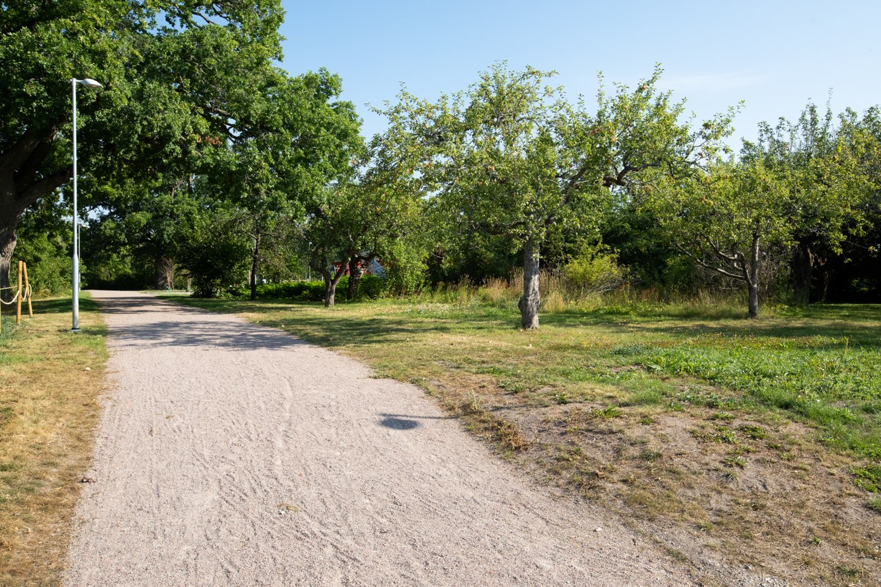 Genetikvägen 12