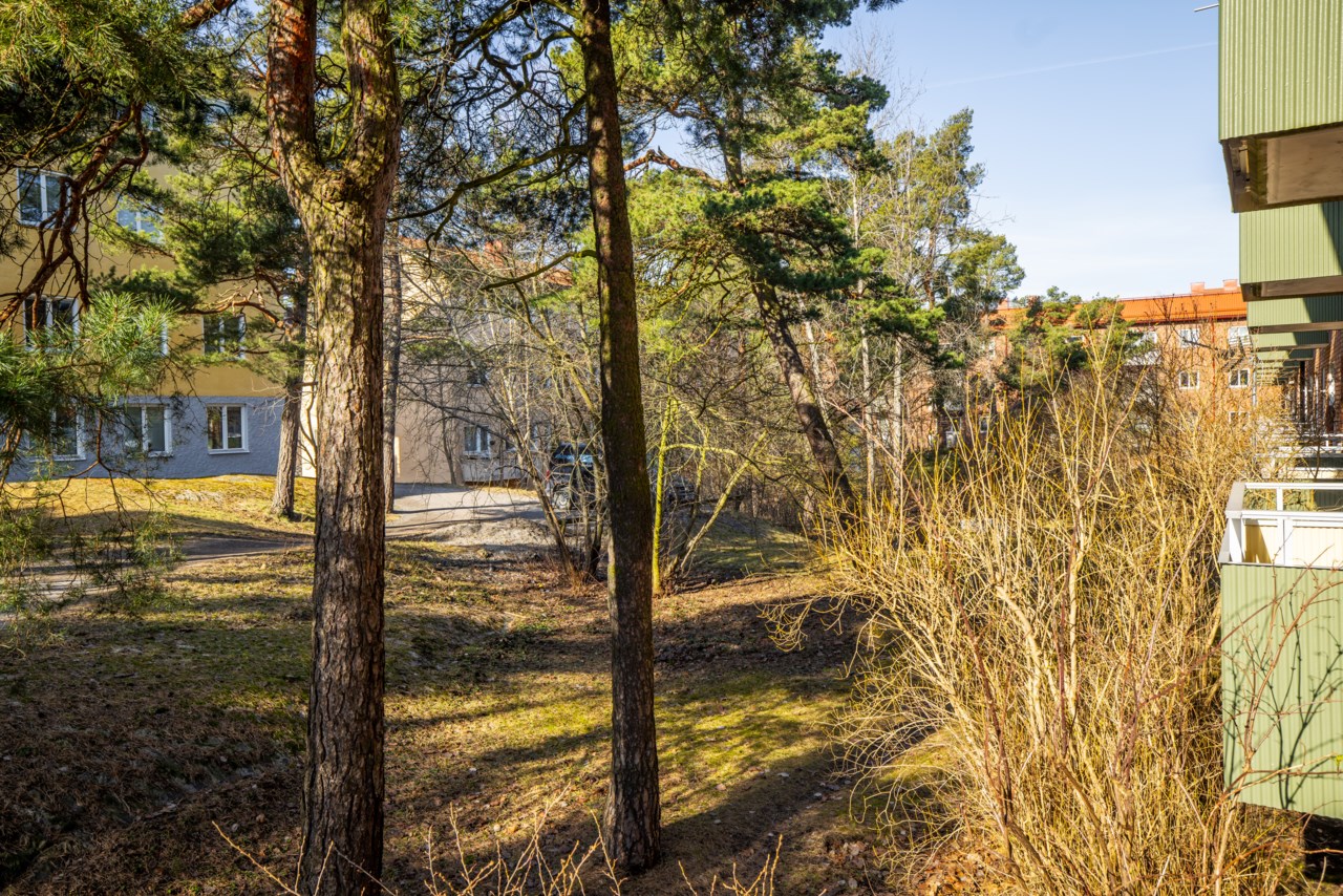 Sparbanksvägen 50