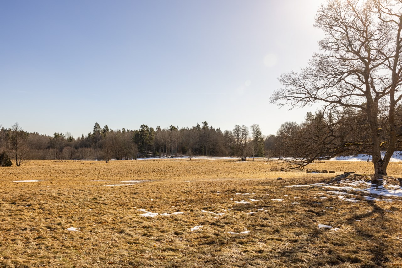 Orgelvägen 17