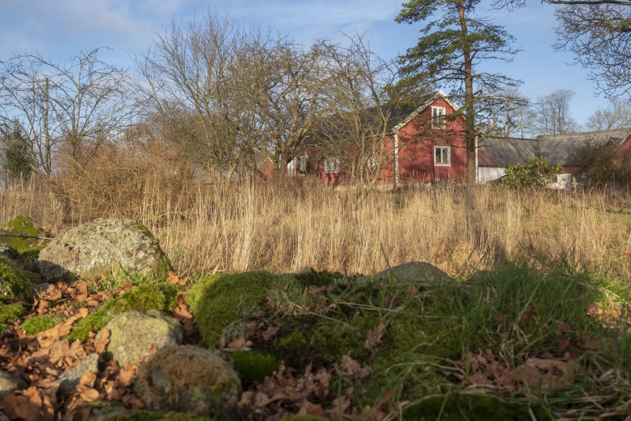Naturnära