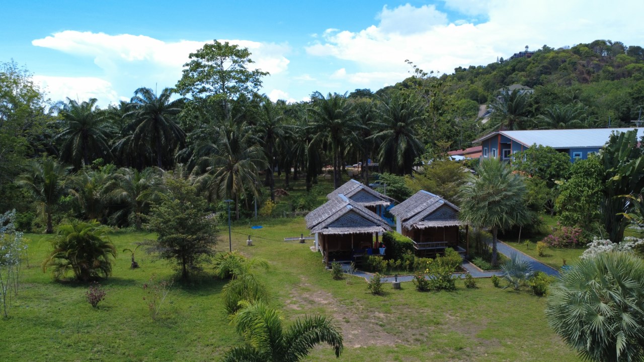 Palm Gardens House