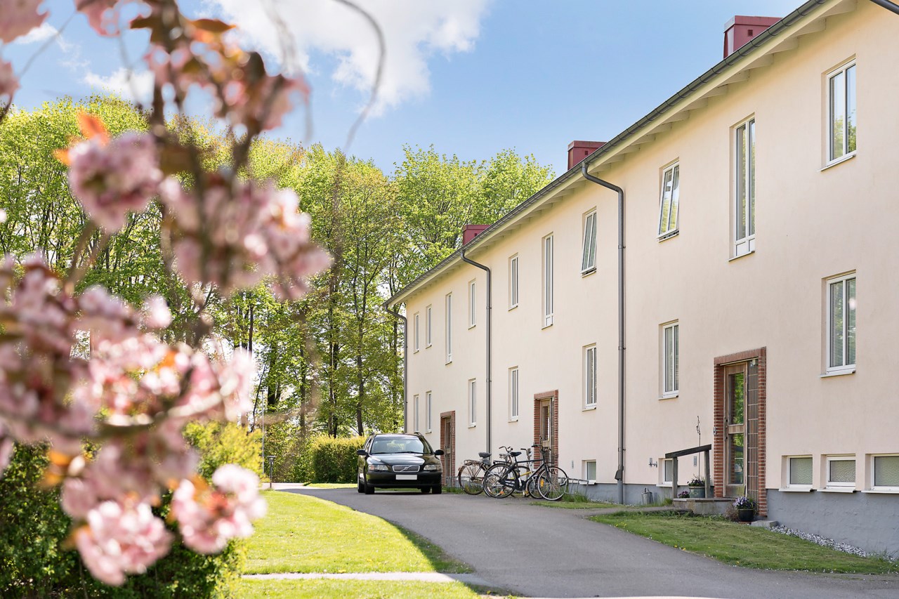 Gemytligt område