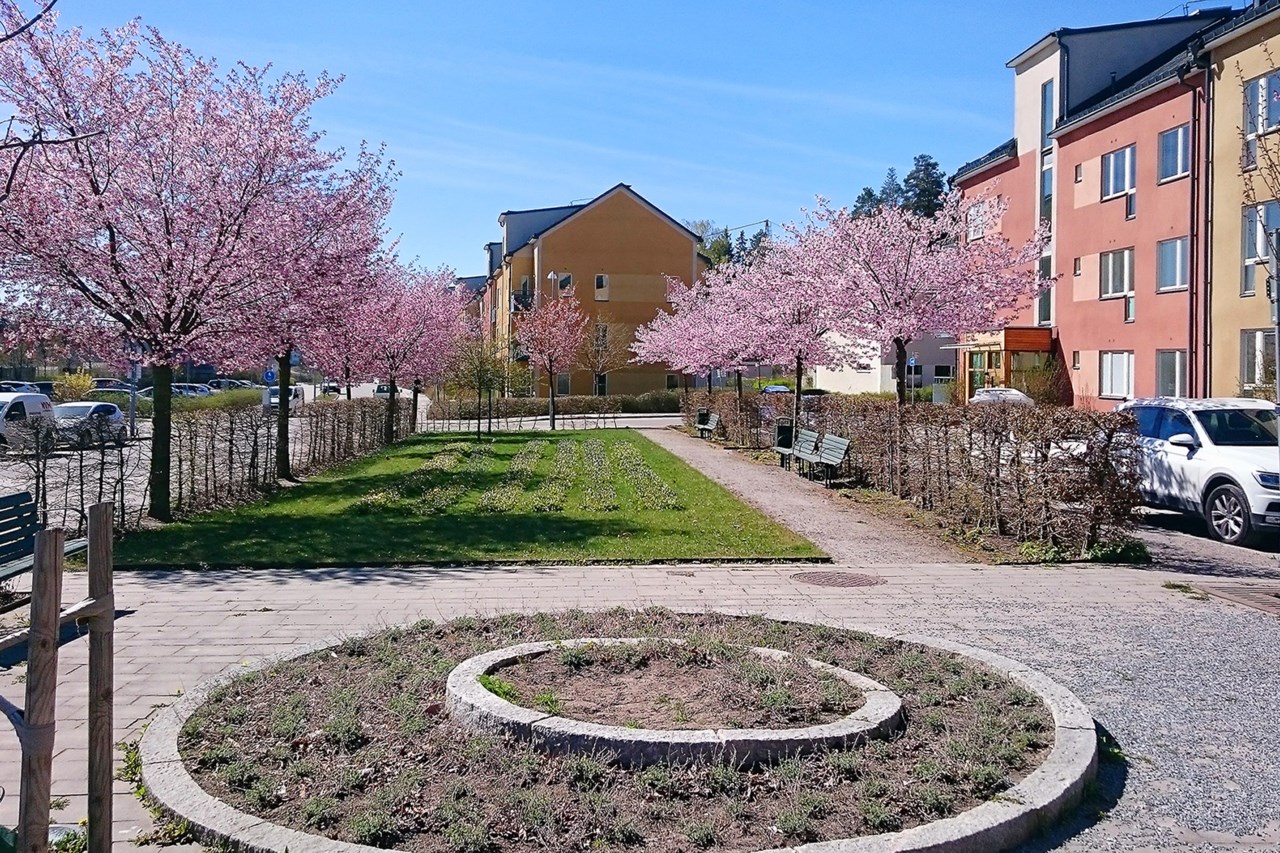 Härlig natur i området!