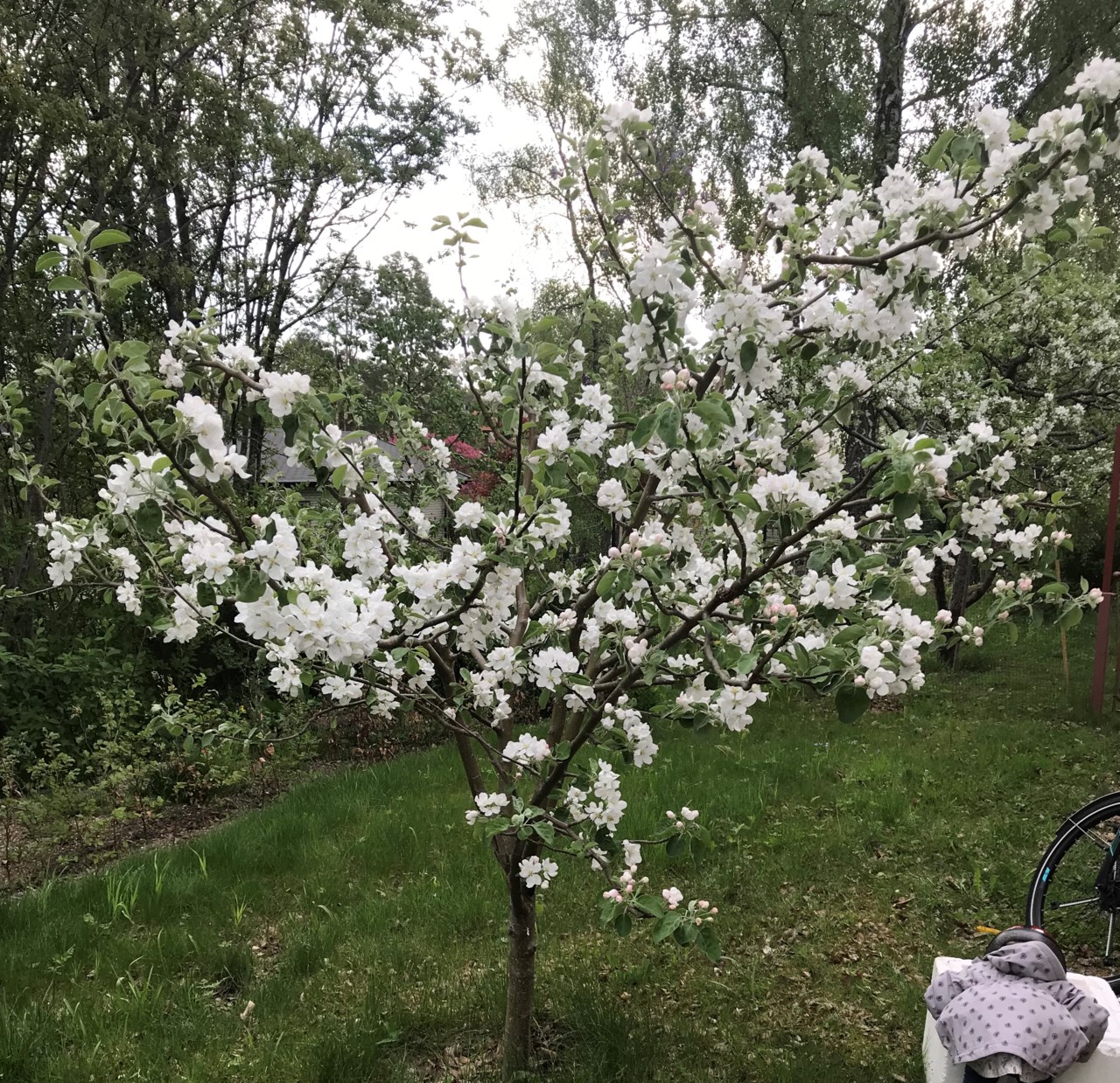 Terrängvägen 23