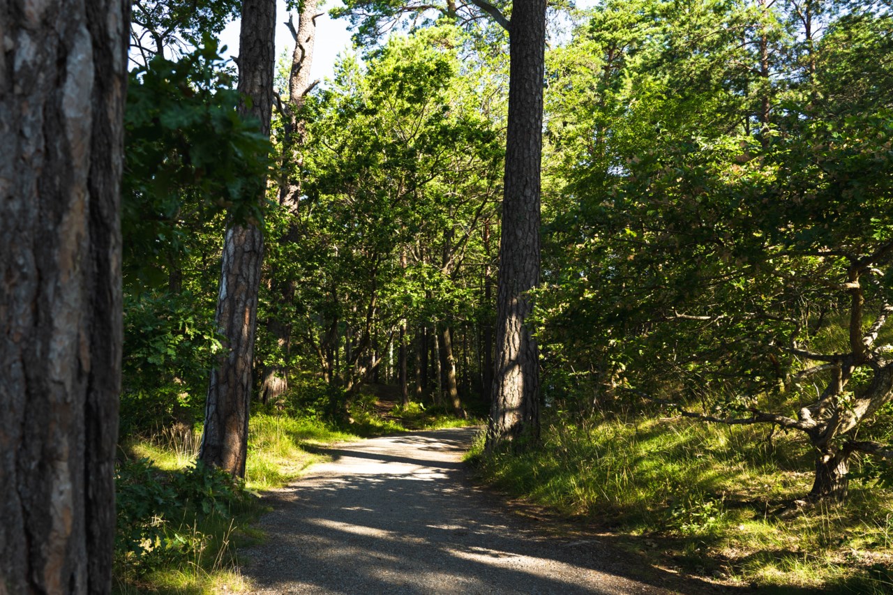 Arvid Mörnes väg 40