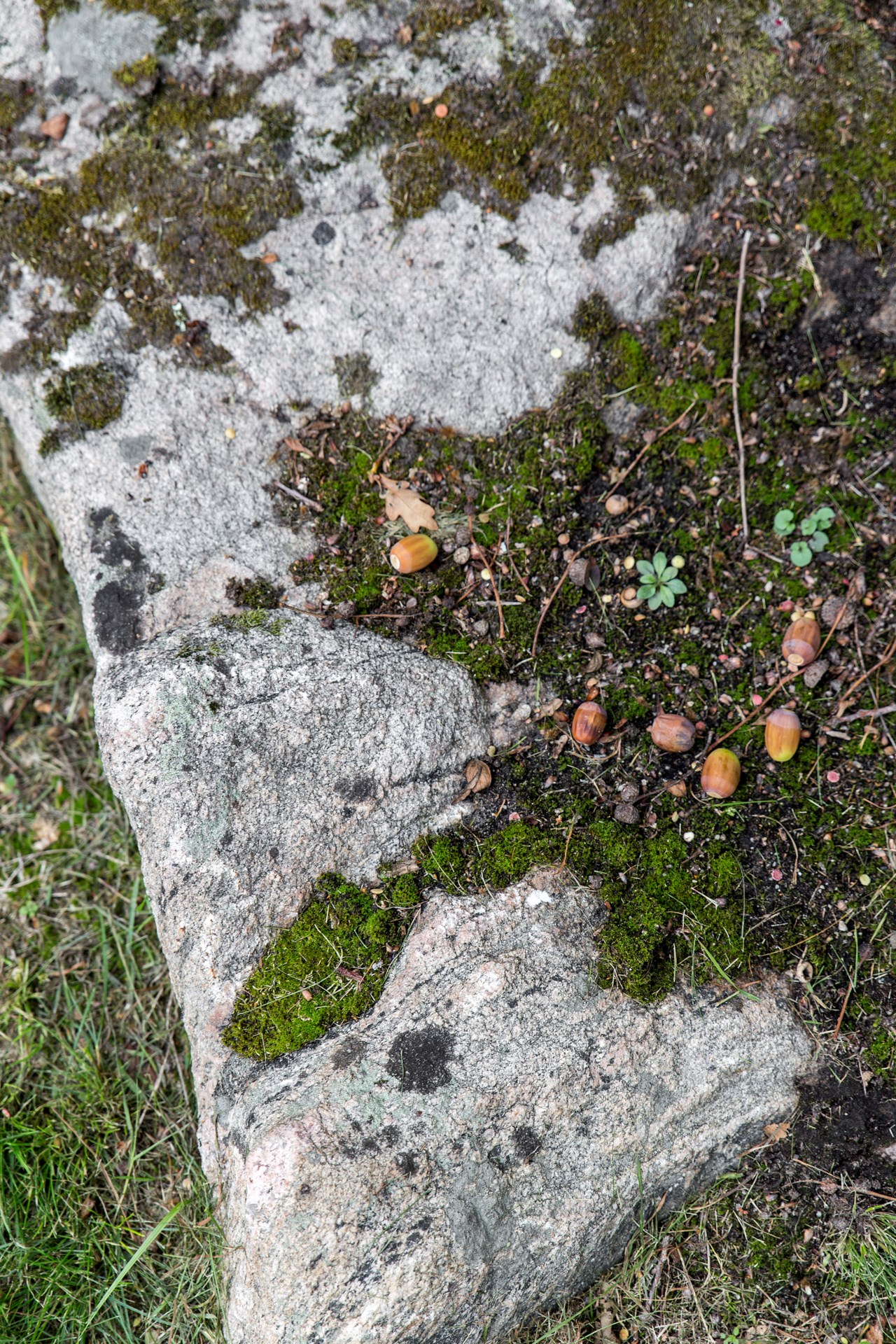Ringarevägen 12