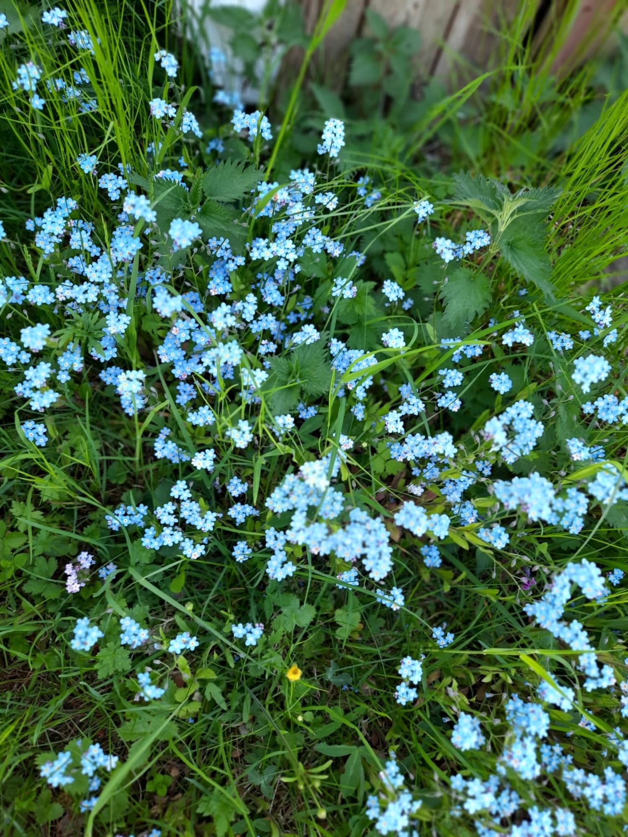 Diligensvägen 6