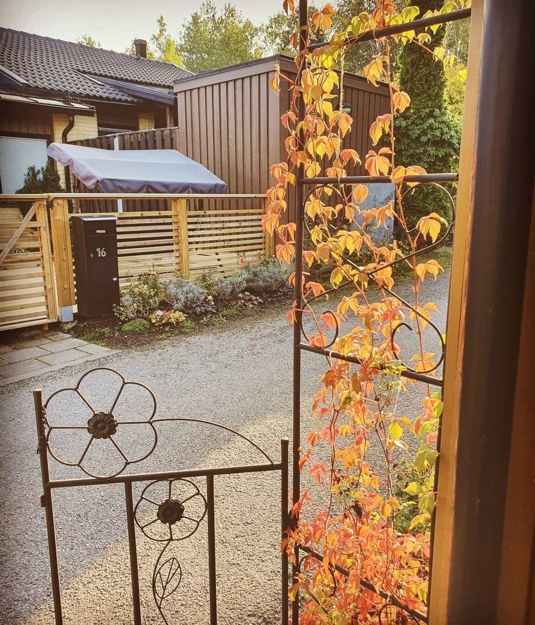 Lilla Björnens Gränd 8