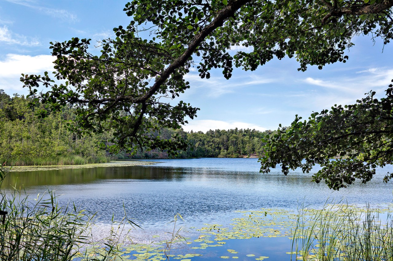 Nockeby Torg 25