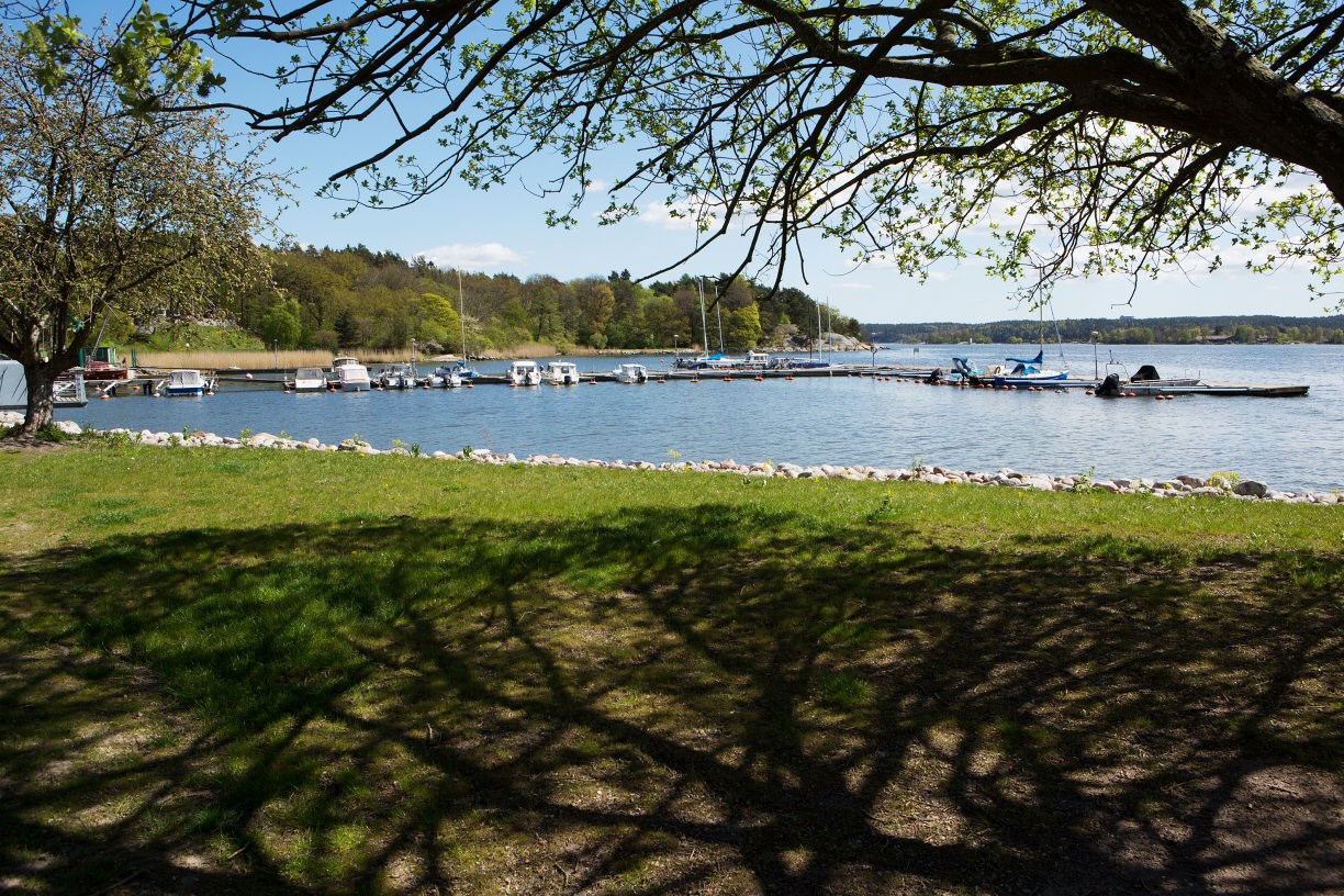 Småbåtshamn