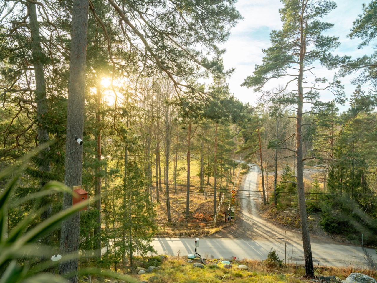Naturnära omgivningar med lugn och lantlig känsla