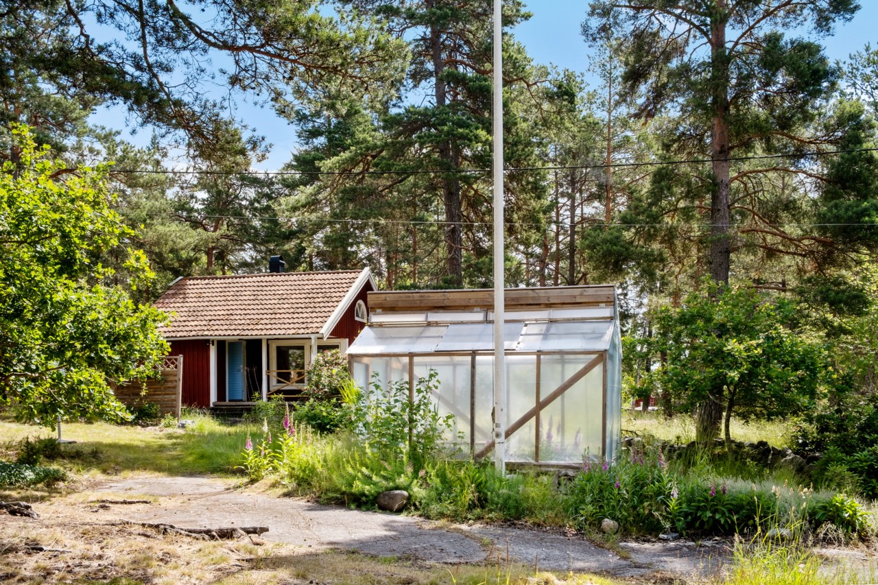 Växthus