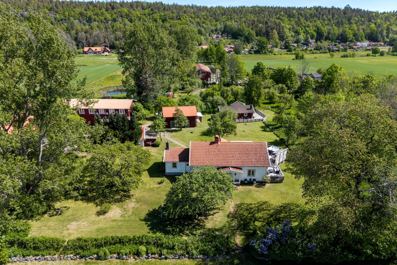 Hol Skäggården 248 och 256