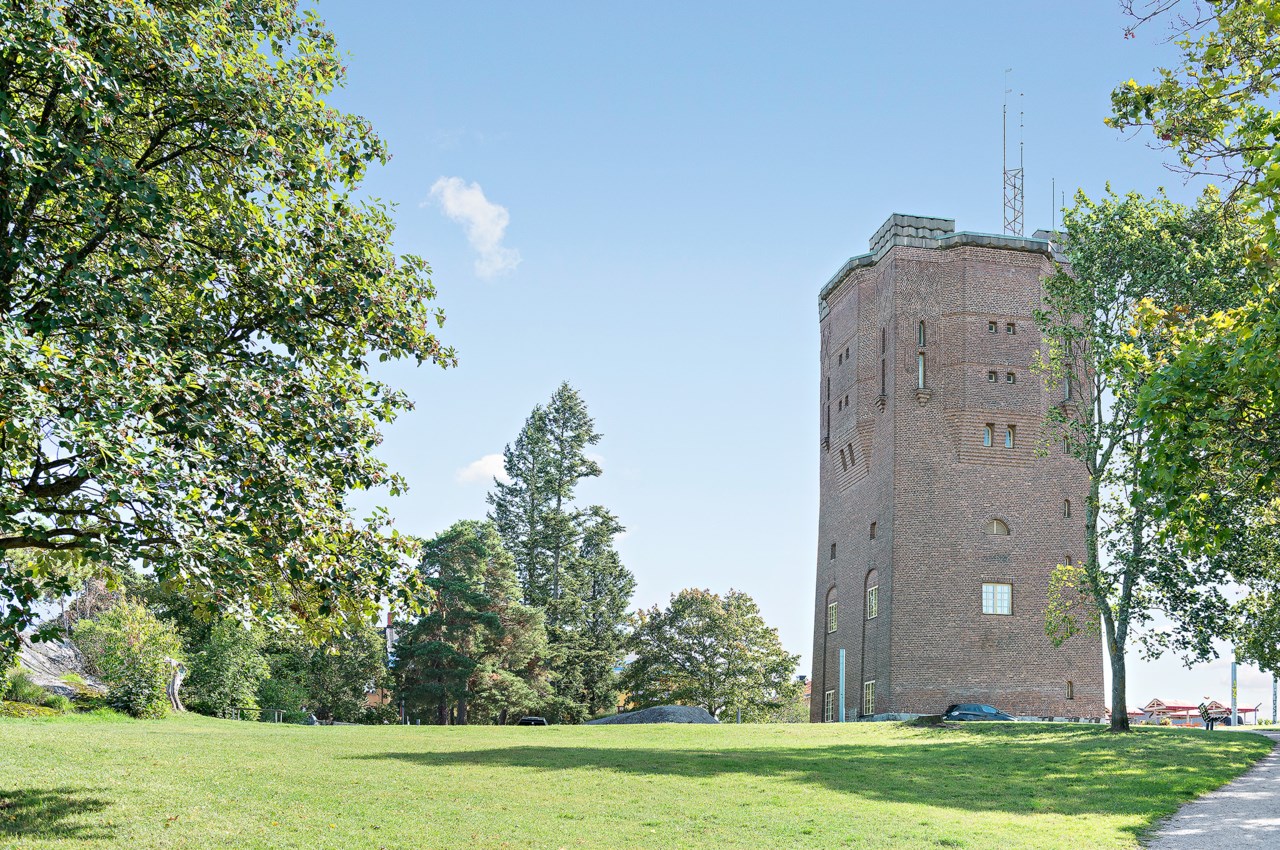 Fågelsången 3