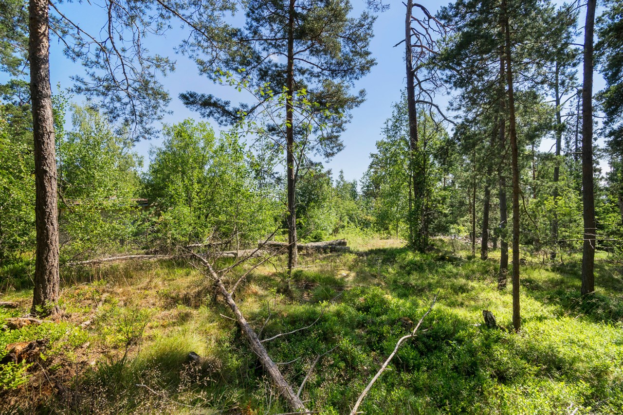 Det höga fina läget ger en eller två fina och insynsskyddade fastigheter