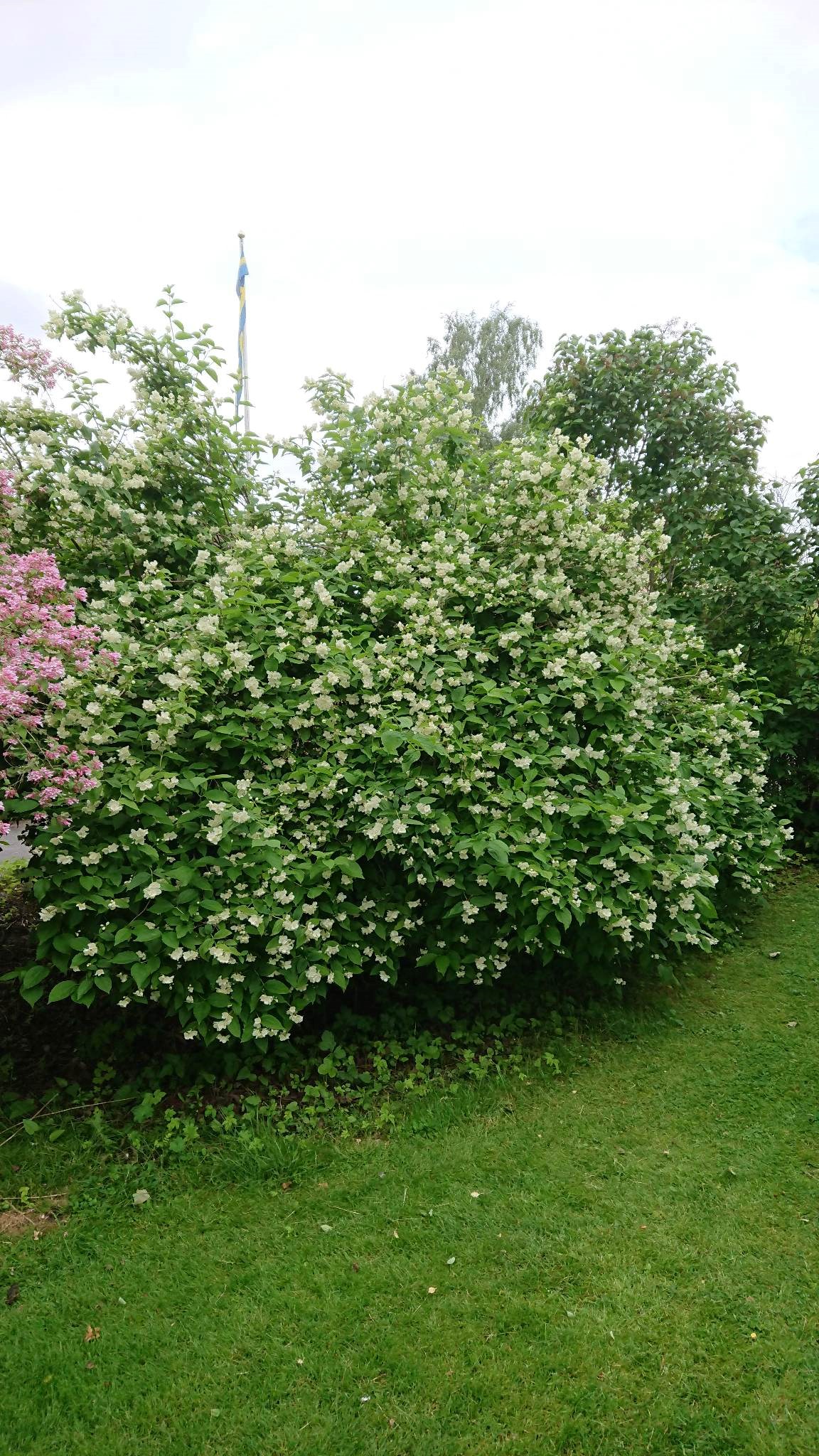 Liljanstorpsvägen 38
