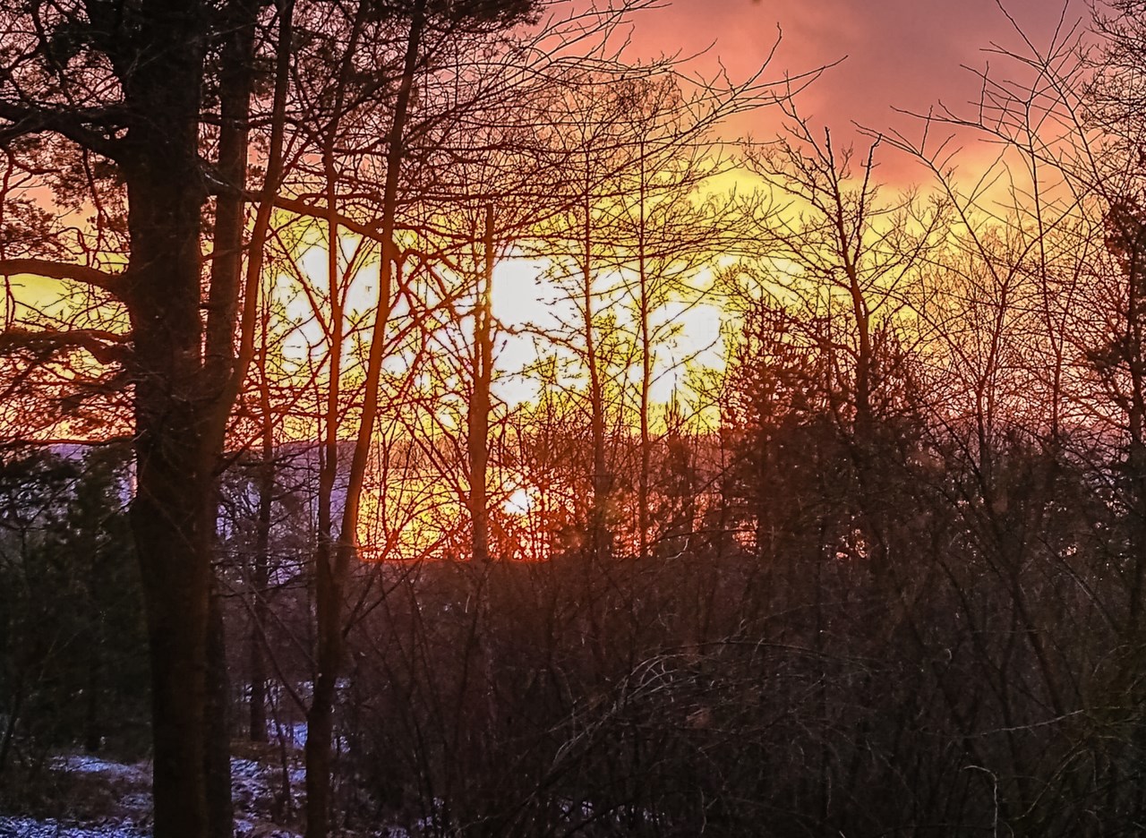 Vintersolnedgång