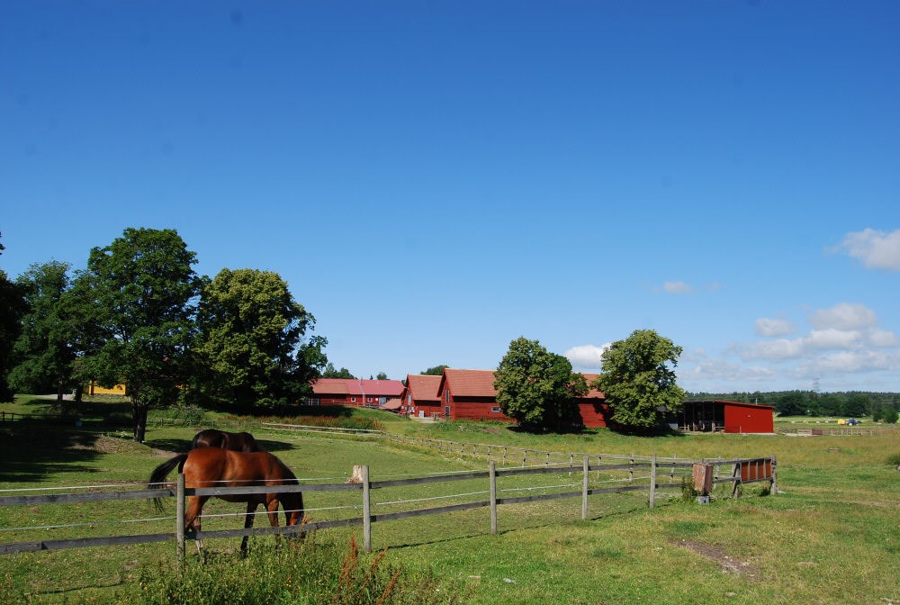 Trehörningen 25