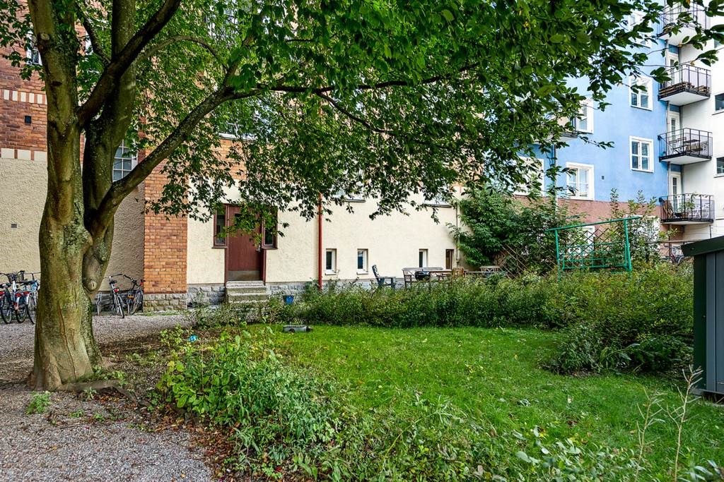 Föreningens grönskande innergård