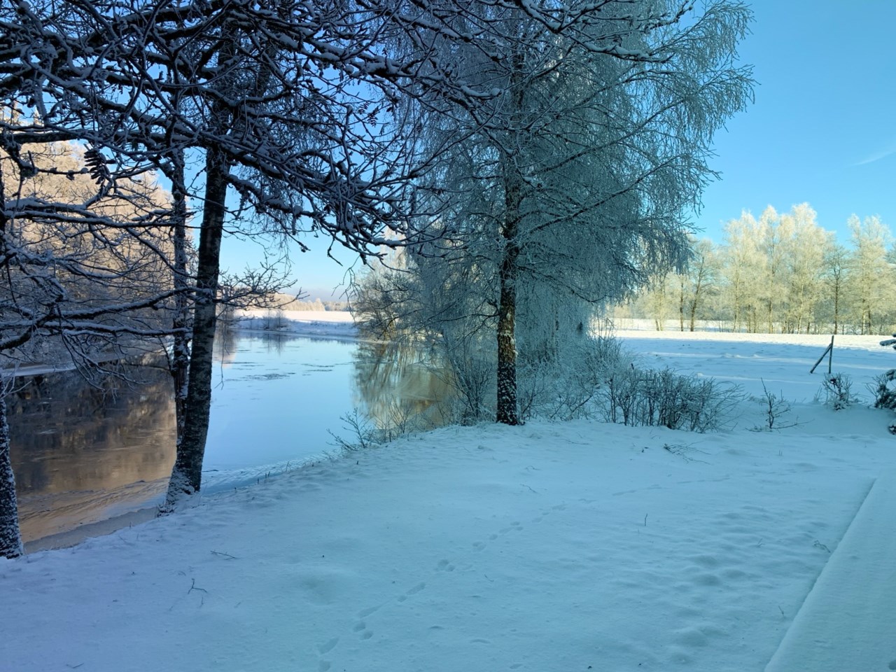 Säljarens egna bilder