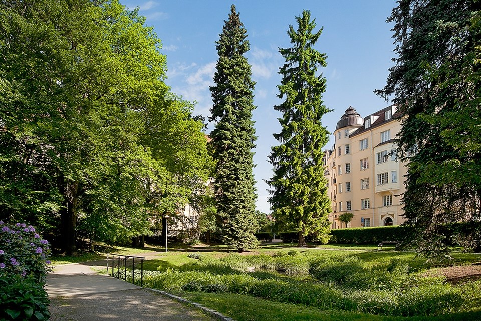 Gamla råsunda