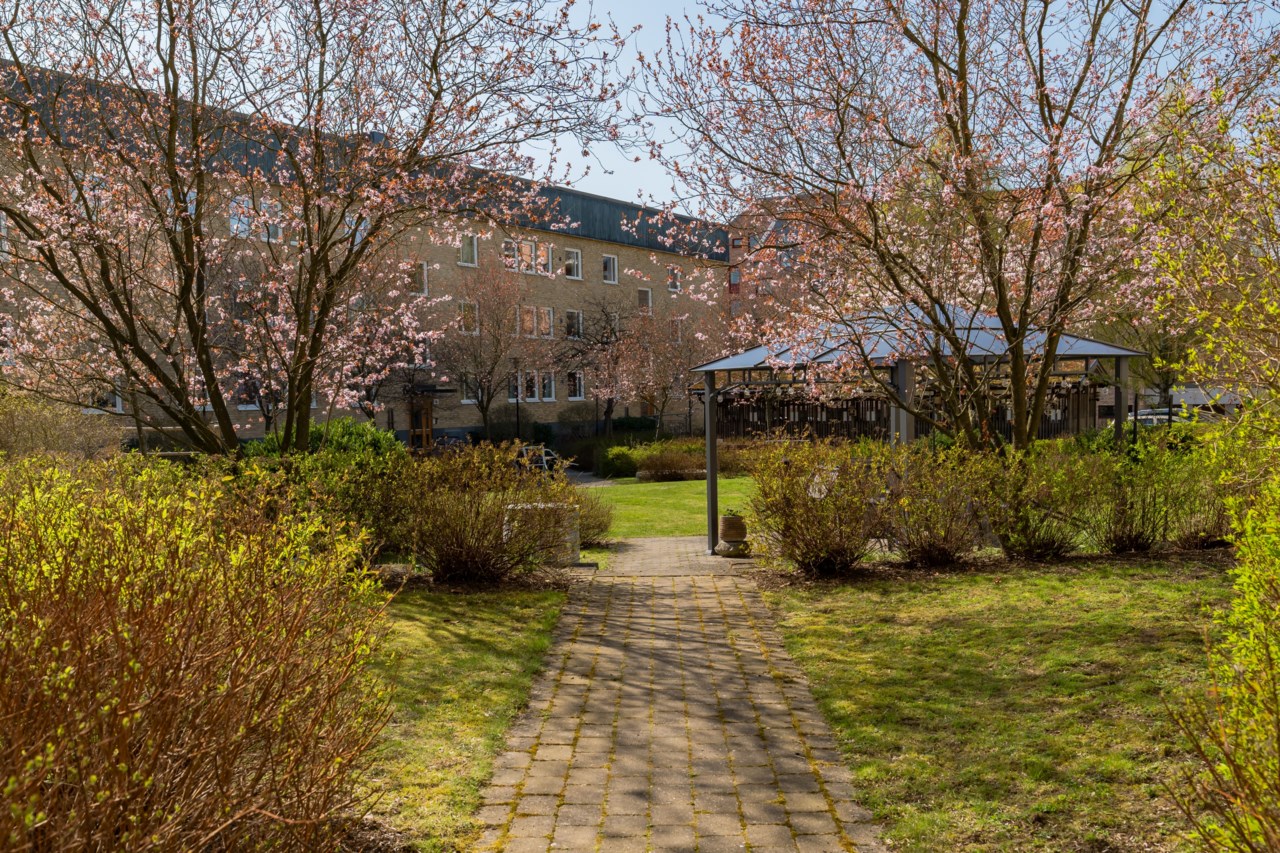 Innergård