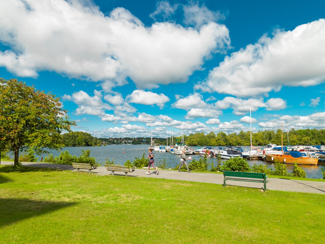 Fina promenad- och joggingstråk längst med Mälaren