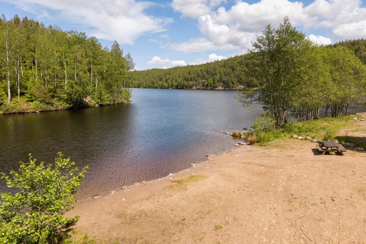 Ryrsjön 230