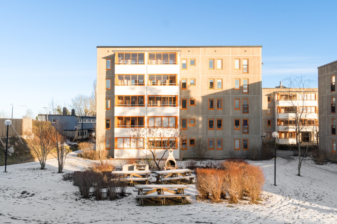 Ormingeringen 80