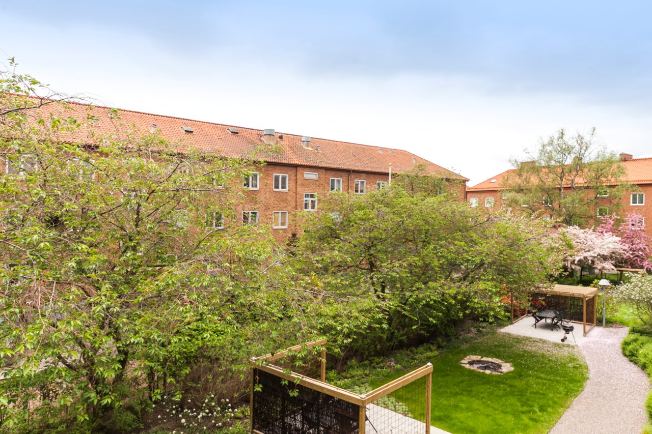 Tranemansgatan 46