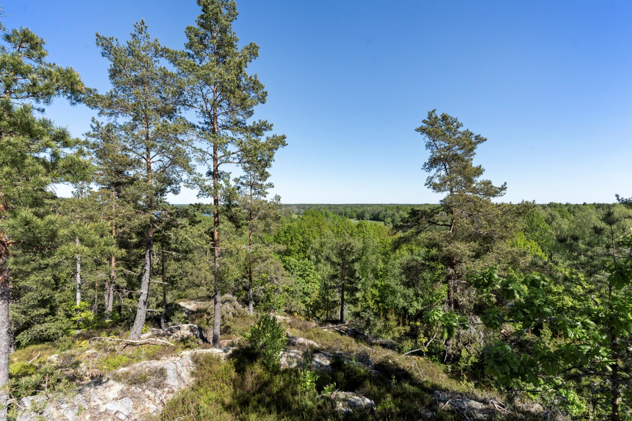 Kvarnen 1