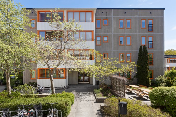 Ormingeringen 79