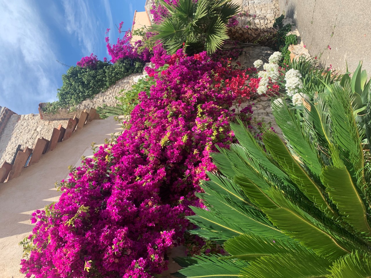ANTIBES - Port Vauban