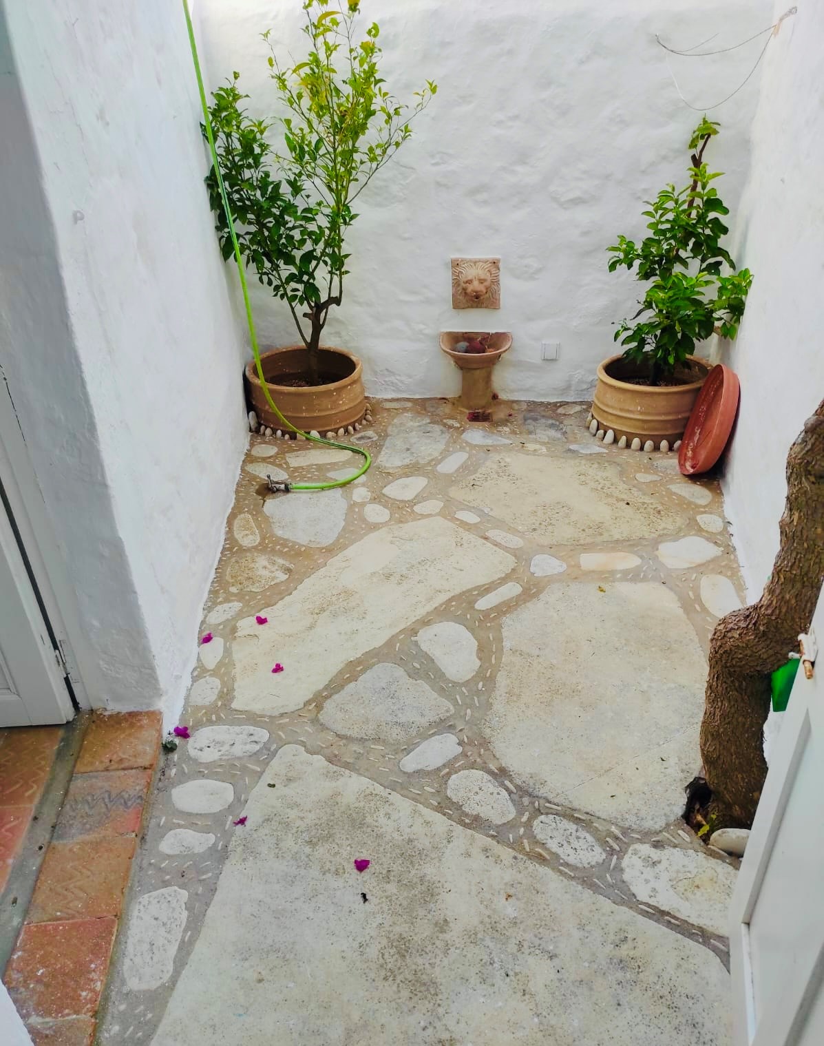 Patmos