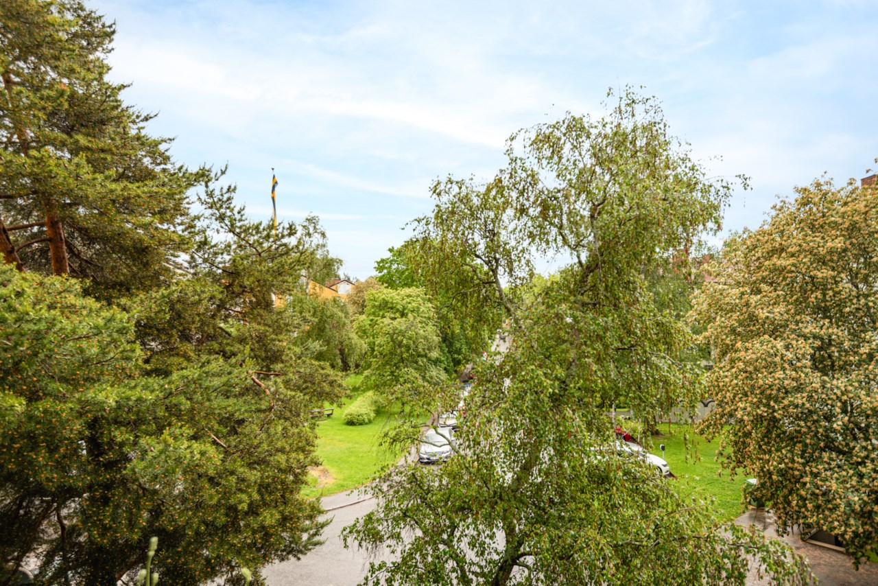 Skönviksvägen 272